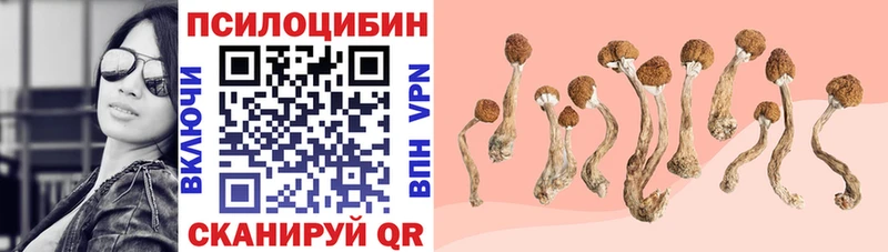 Купить закладки  Ачхой-Мартан  Галлюциногенные грибы мицелий